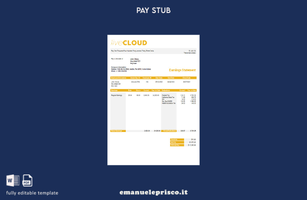 stile verificato Modello busta paga di archiviazione cloud